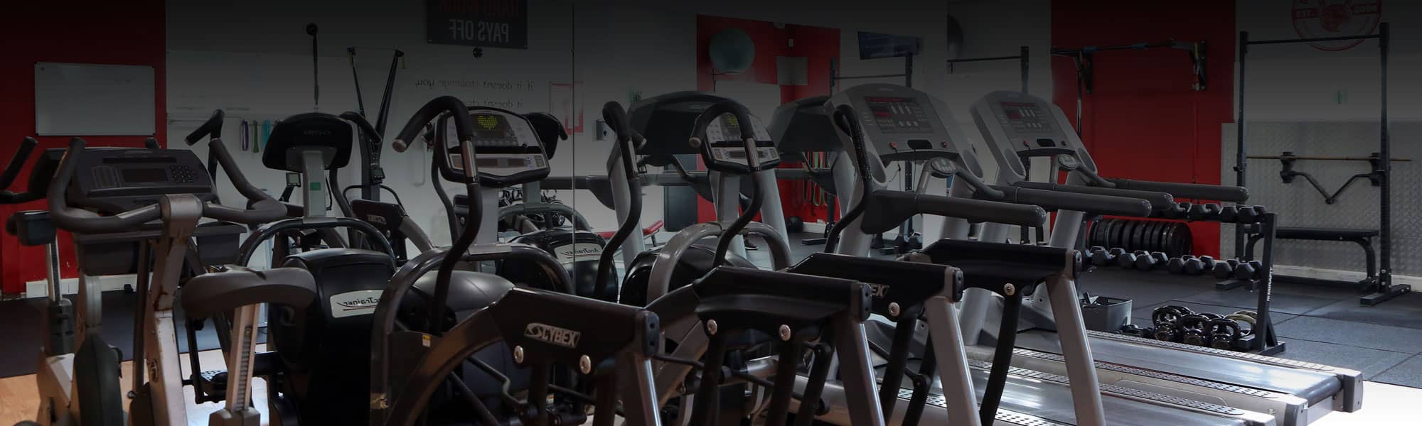 Cardio equipment at RPM Fitness